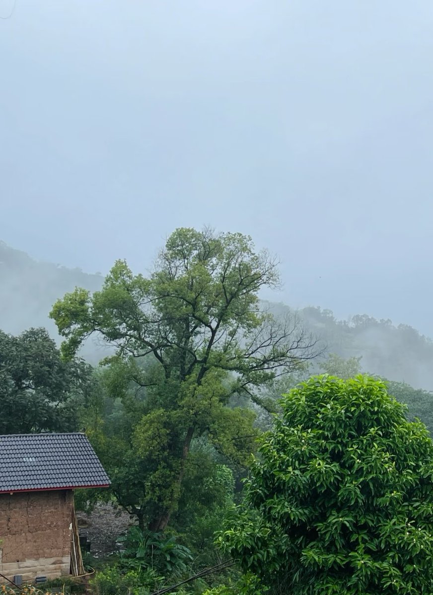 上联：一缕乡愁千里外
下联你怎么对？