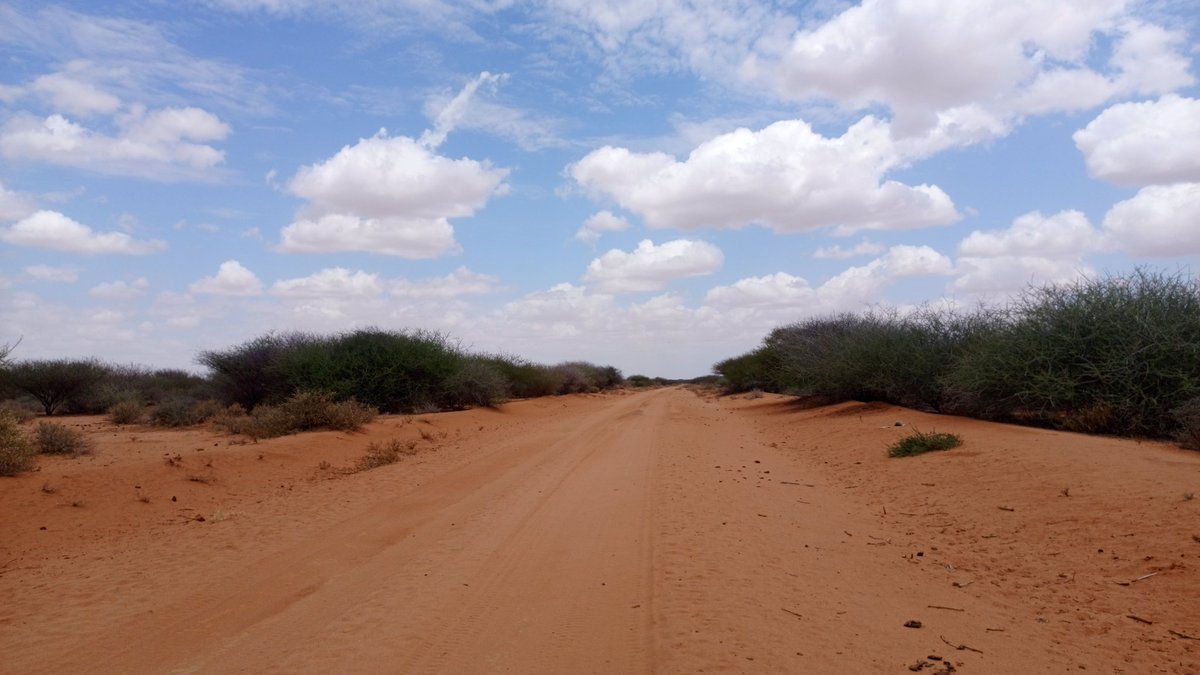 NorthernKe_pics's tweet photo. @AlongImna https://t.co/0o8YIZxPmh
