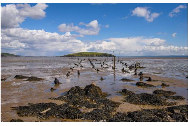 Stonefishweirs's tweet photo. Some examples #Scottish #stakenet fishing uses a series of stakes to moor a leader net to the seabed. The leader net guides fish into several "pockets" along its length. As the tide ebbs, the pockets are emptied, ensuring the fish are caught "fresh off the tide". 1/2 https://t.co/BXM7pLwrjv