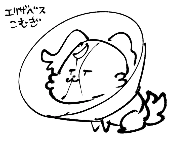 エリザベスってお姫様ワン!?
お姫様になりたいワン! 