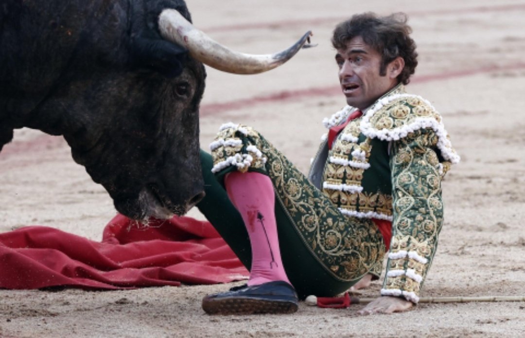 Hoy se despide Fernando Robleño, ejemplo de torero íntegro, forjado a base de sacrificio y verdad. Nadie le regaló nada. Se enfrentó a lo más duro del campo y siempre dio la cara. Respeto y admiración por una carrera auténtica. 📸Robleño frente a una prenda de Escolar en Pamplona