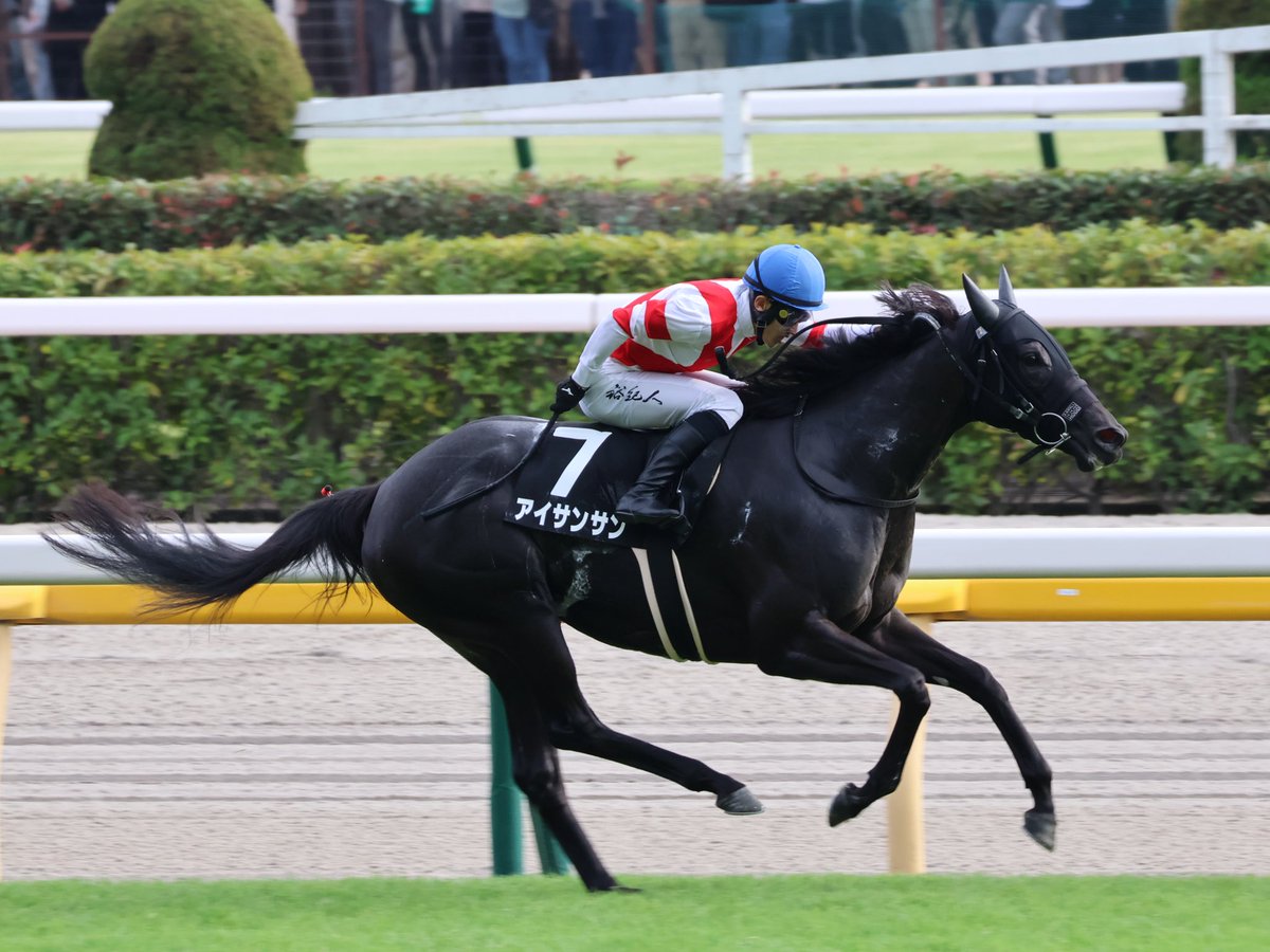 bb__aa_bb's tweet photo. アイサンサン
 #東京競馬場
 #アイサンサン https://t.co/wQfpbuG9mW