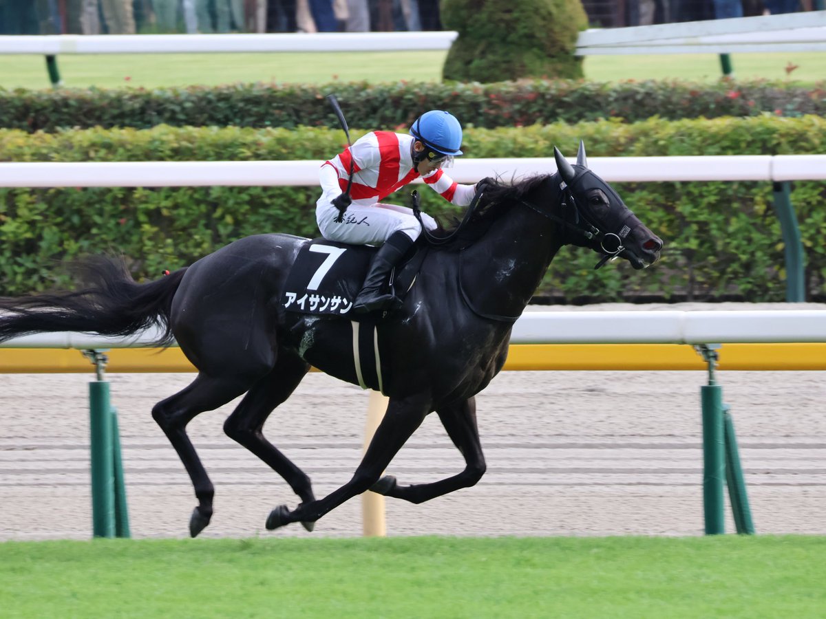 bb__aa_bb's tweet photo. アイサンサン
 #東京競馬場
 #アイサンサン https://t.co/wQfpbuG9mW