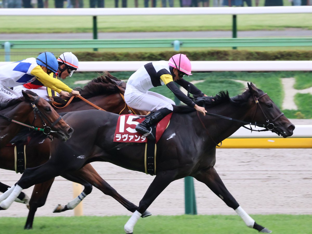 bb__aa_bb's tweet photo. アイルランドトロフィー
 #東京競馬場
 #アイルランドトロフィー 
 #ボンドガール 
 #アドマイヤマツリ 
 #ラヴァンダ https://t.co/IJ2JbeCfOG