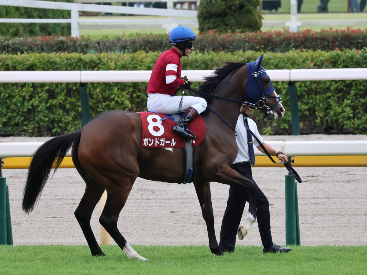 bb__aa_bb's tweet photo. アイルランドトロフィー
 #東京競馬場
 #アイルランドトロフィー 
 #ボンドガール 
 #アドマイヤマツリ 
 #ラヴァンダ https://t.co/IJ2JbeCfOG