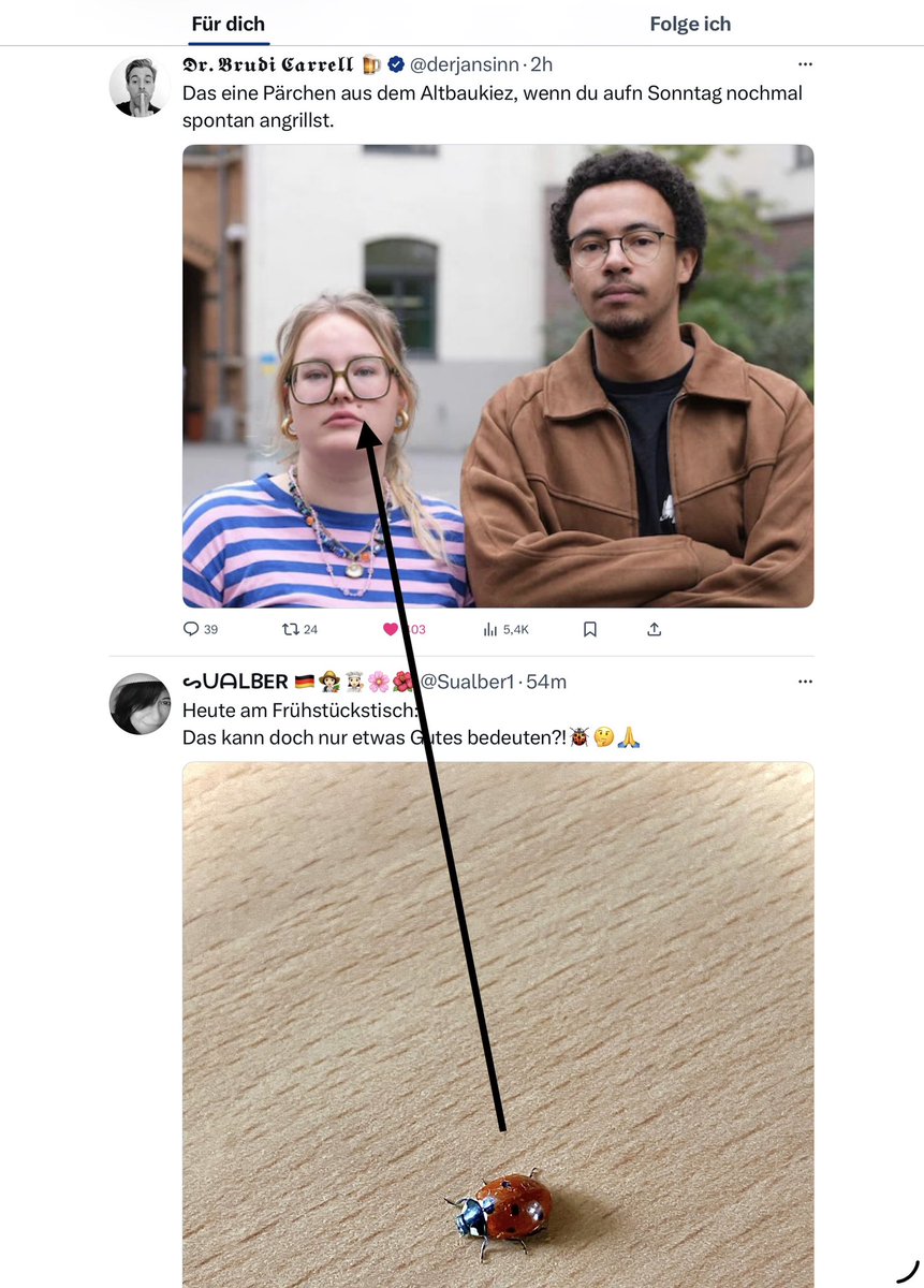 Warum ich Xwitter liebe.