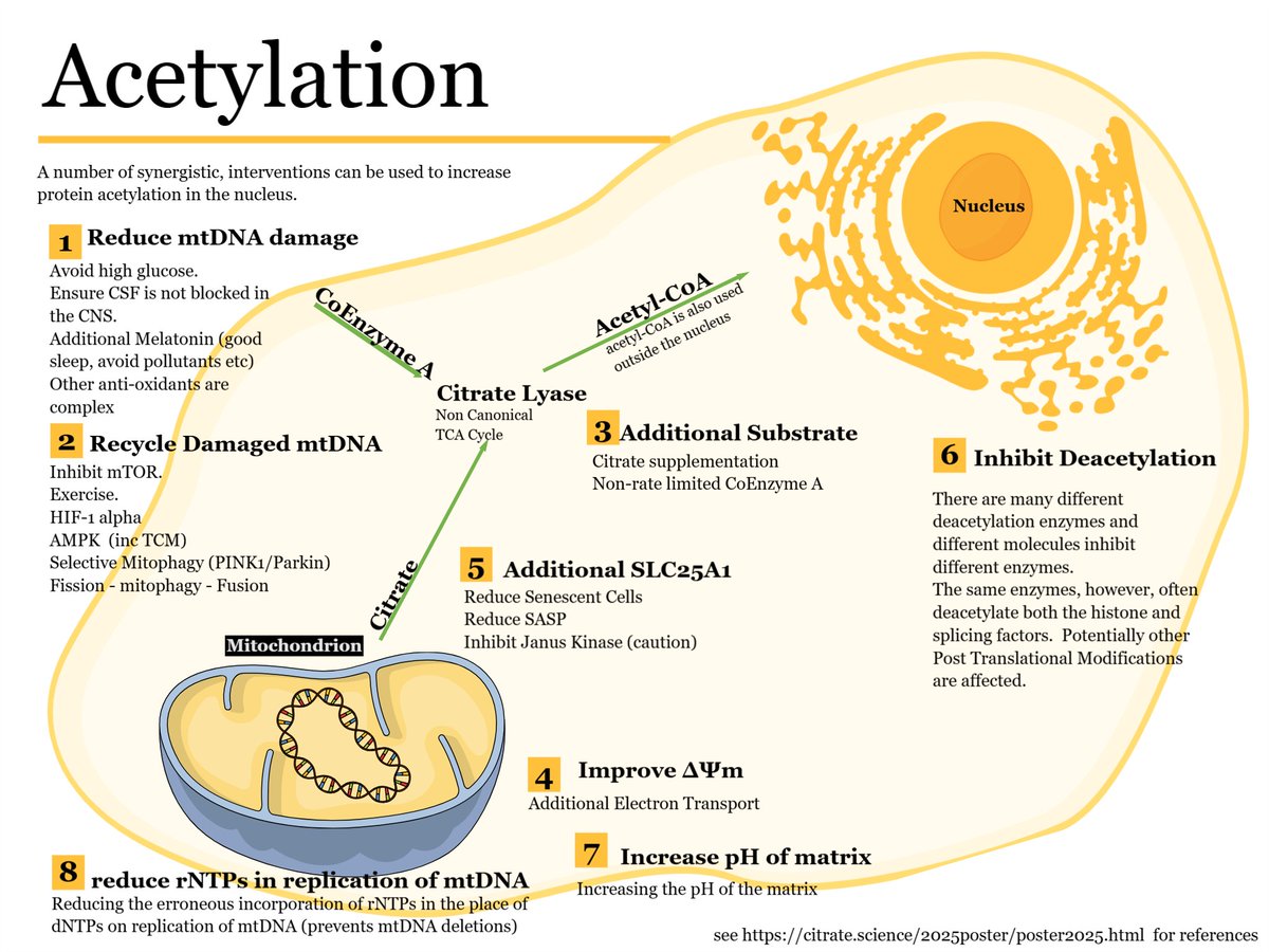 Updated acetylation infographic