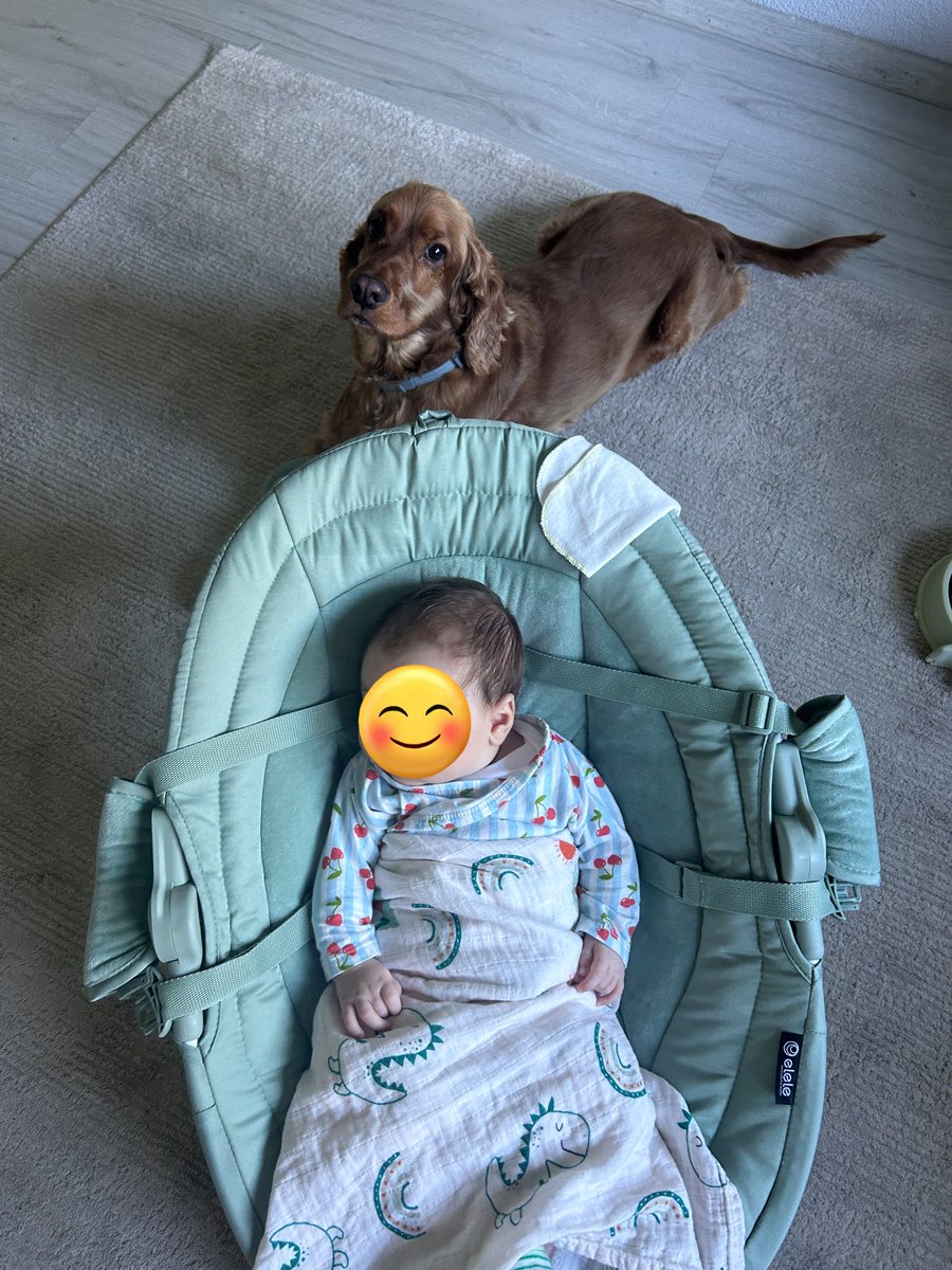 Bak Alüna büyle uslu durduunda saladalık feriyu anneşi he öğren