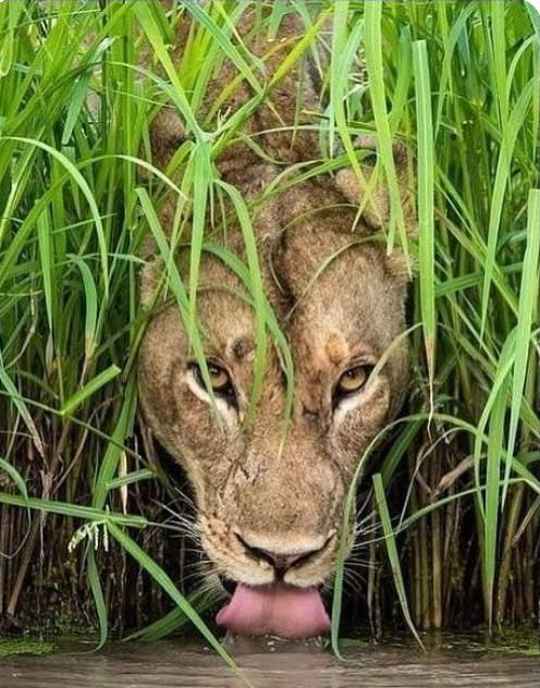 CryptoJack2 tweet media