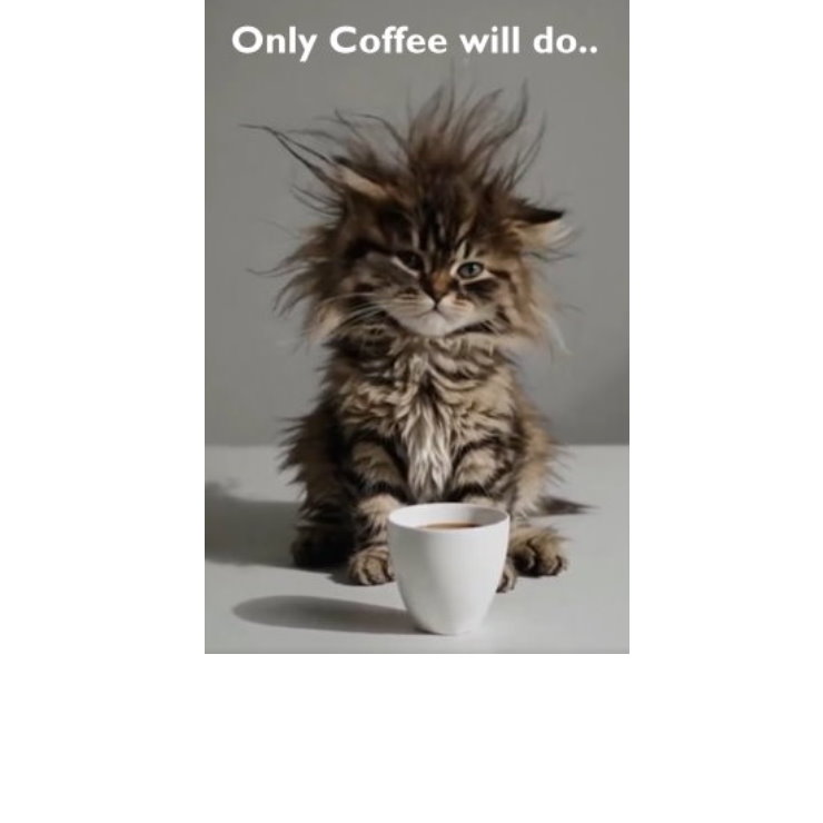 solidgold247's tweet image. Any help to keep myself and Claude caffeinated is always much appreciated 👍☕
paypal.me/solidgoldsounds

#CoffeeTime #SolidGoldSounds #OurKindofShow