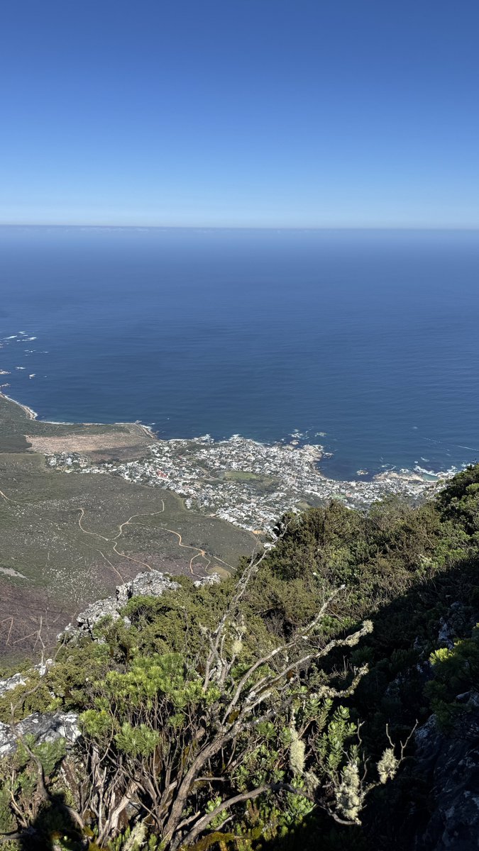 The_Dave_Mani's tweet photo. We finally climbed Table mountain!!! 🇿🇦 #CapeTown https://t.co/sycieX7Aoz