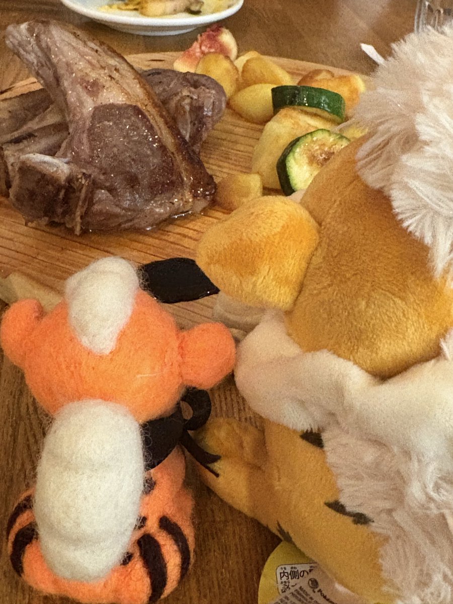 試験も終わったので、遅ればせながら連休楽しみます！がーお肉だよ🥰