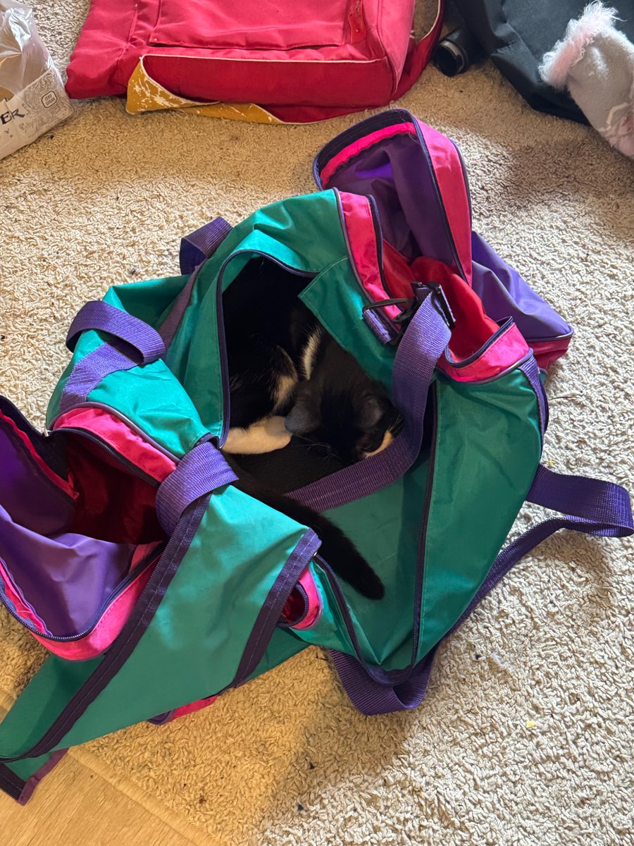 packing the essentials