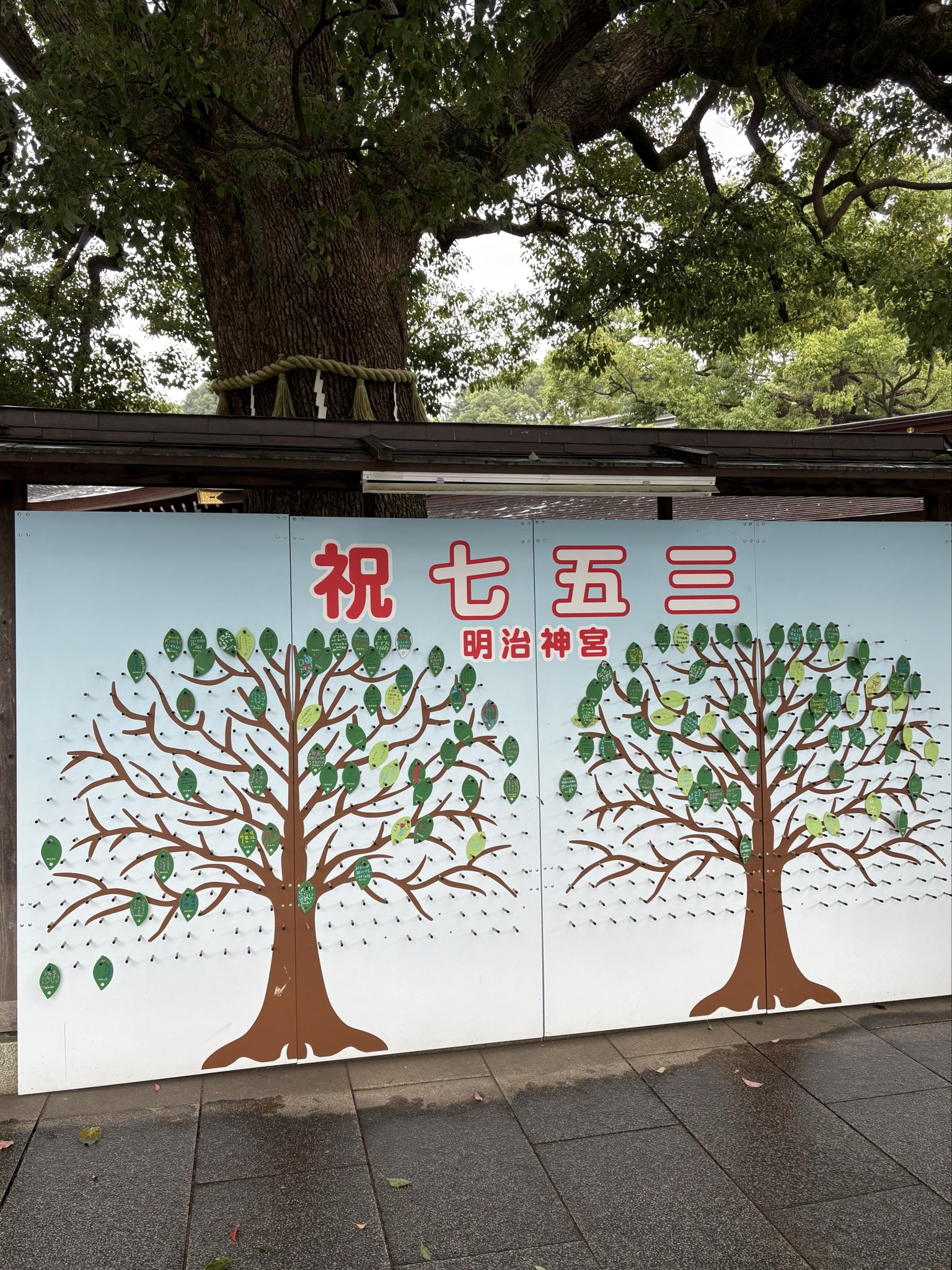 Mikiアカウント miki😷 (@mikik0307) / X