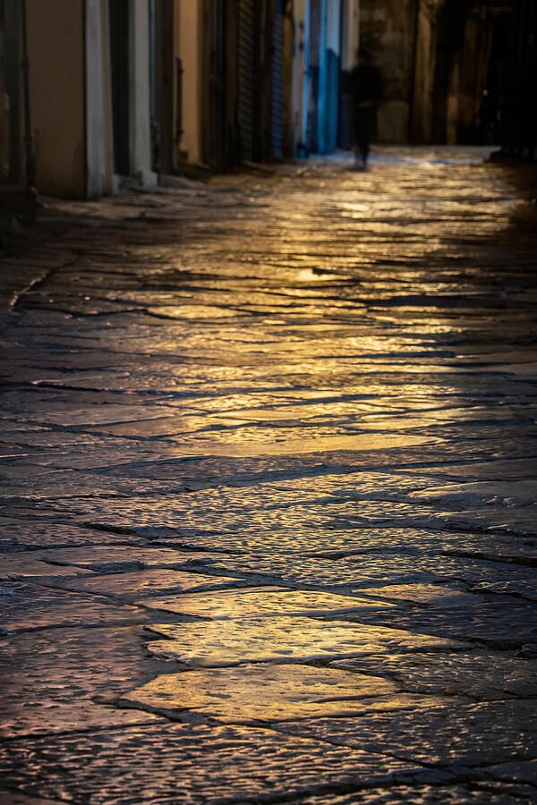 joancarroll's tweet image. Golden Cobblestones Palermo Sicily! buff.ly/3wEe1gp #palermo #sicily #italy #cobblestones #night #street #lane #alley #golden #reflection #artforsale #giftideas @joancarroll