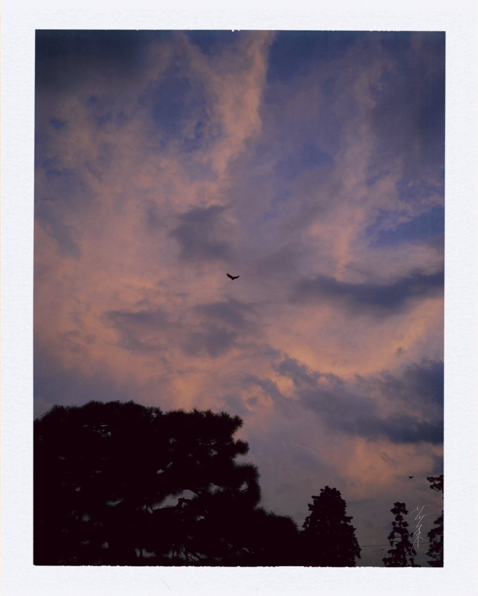 皆さん、お久しぶりです🌙
なんだかんだ、2ヶ月ぶりぐらいのポストになってしまいました。
夏から体調を崩しがちで中々投稿出来ていなかったんですが、皆さんはお元気でしたか？
僕はようやく、じんわりと元気を取り戻してきました。

楽曲制作も色々としております✍️