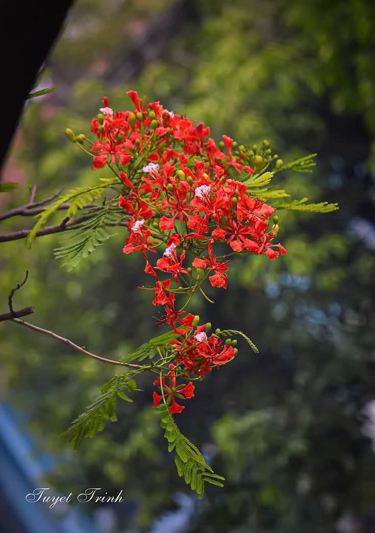 Raima__nor's tweet image. মানুষ হচ্ছে মেঘের মত, তারা আসবে,তারা চলে যাবে,
তোমাকে থাকতে হবে আকাশের মত স্থির!🌸