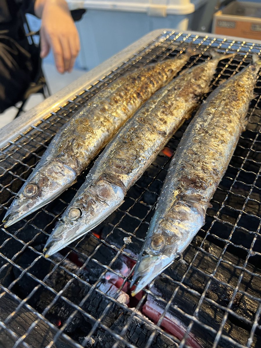 modern_man_jp's tweet image. てってーれー🐟