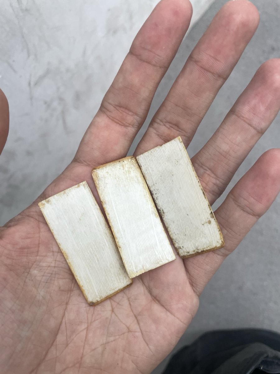 Afonso Arrepia Ferreira tweet media