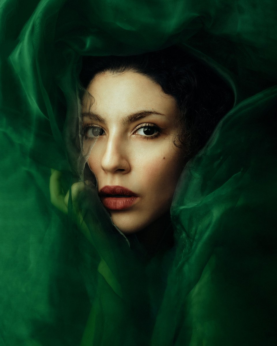 New NFT minted.

Emerald Veil
She emerges from the emerald shadows,
where whispers of silk cradle her face,
and the light, like a patient lover,
traces the curve of her gaze
as if unveiling a secret the world
was never meant to know.

Link in the comments 
#TezosArts #objkt