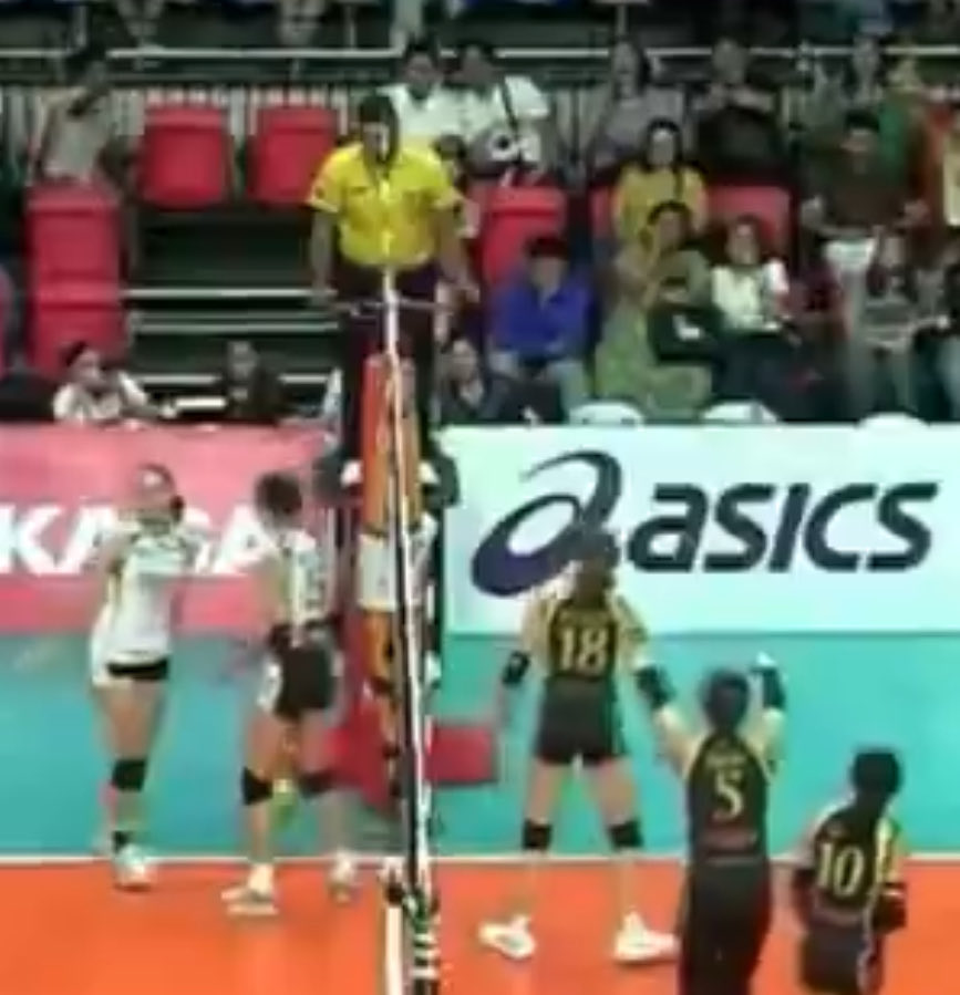 HANG IT IN THE LOUVRE
