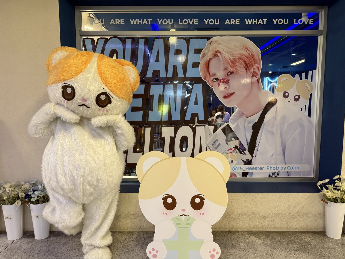 희스터 tweet media