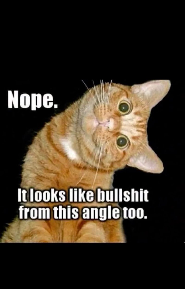 WingsofNorway's tweet image. Someone told someone that "Maybe you can run for the premiere pos. in the nation?", whereas someone said "Do you think so, I have no experience whatsoever?". "Sure!", someone said. "You'll learn as you go!", and someone replied "Yeah, of course I will, with my brain-capacity!".