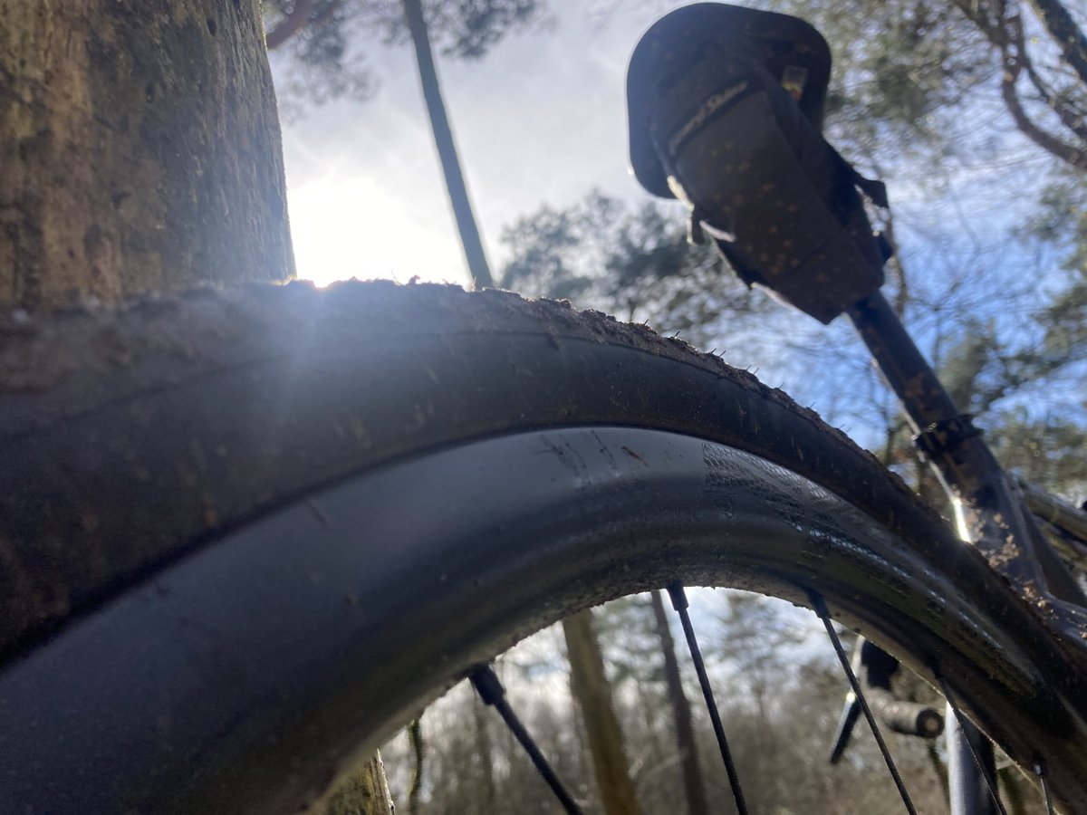 Ride It! tweet media