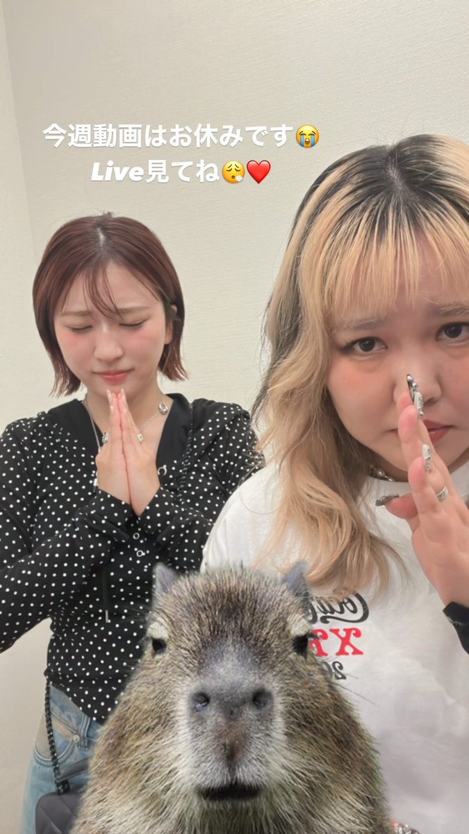 __nicochi__'s tweet image. おつかれさま🥴
今日も可愛かったよ💓
動画お休みお知らせしてくれて
ありがとう🥰
可愛すぎて一生見てられる❤
ゆっくり休んでね😴
#平成フラミンゴにこ 
#平成フラミンゴりほ 
@___nicoichi___ 
@RinrinFlamingo