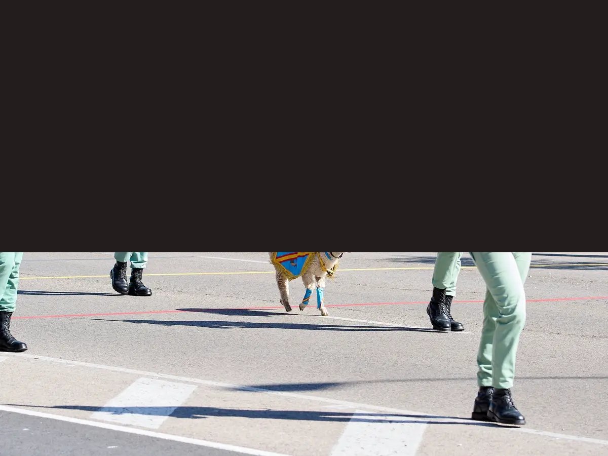 Maravilloso el desfile que ha visto la princesa Leonor.