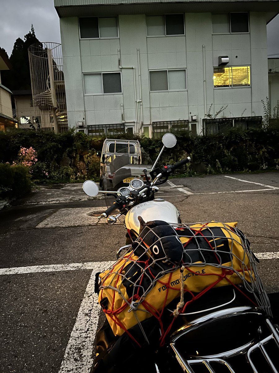 ペンギン1号 (@nekoken8848) / X