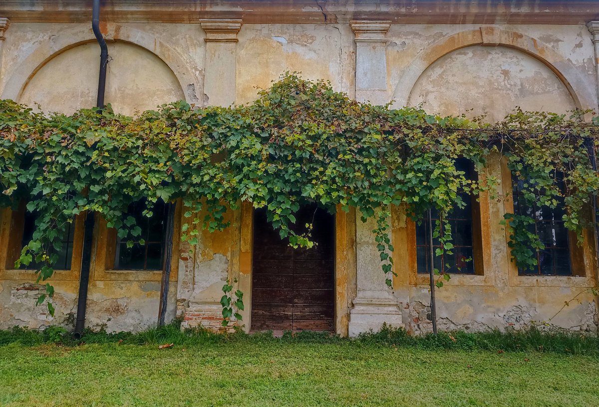 Vedo cose belle.
📷