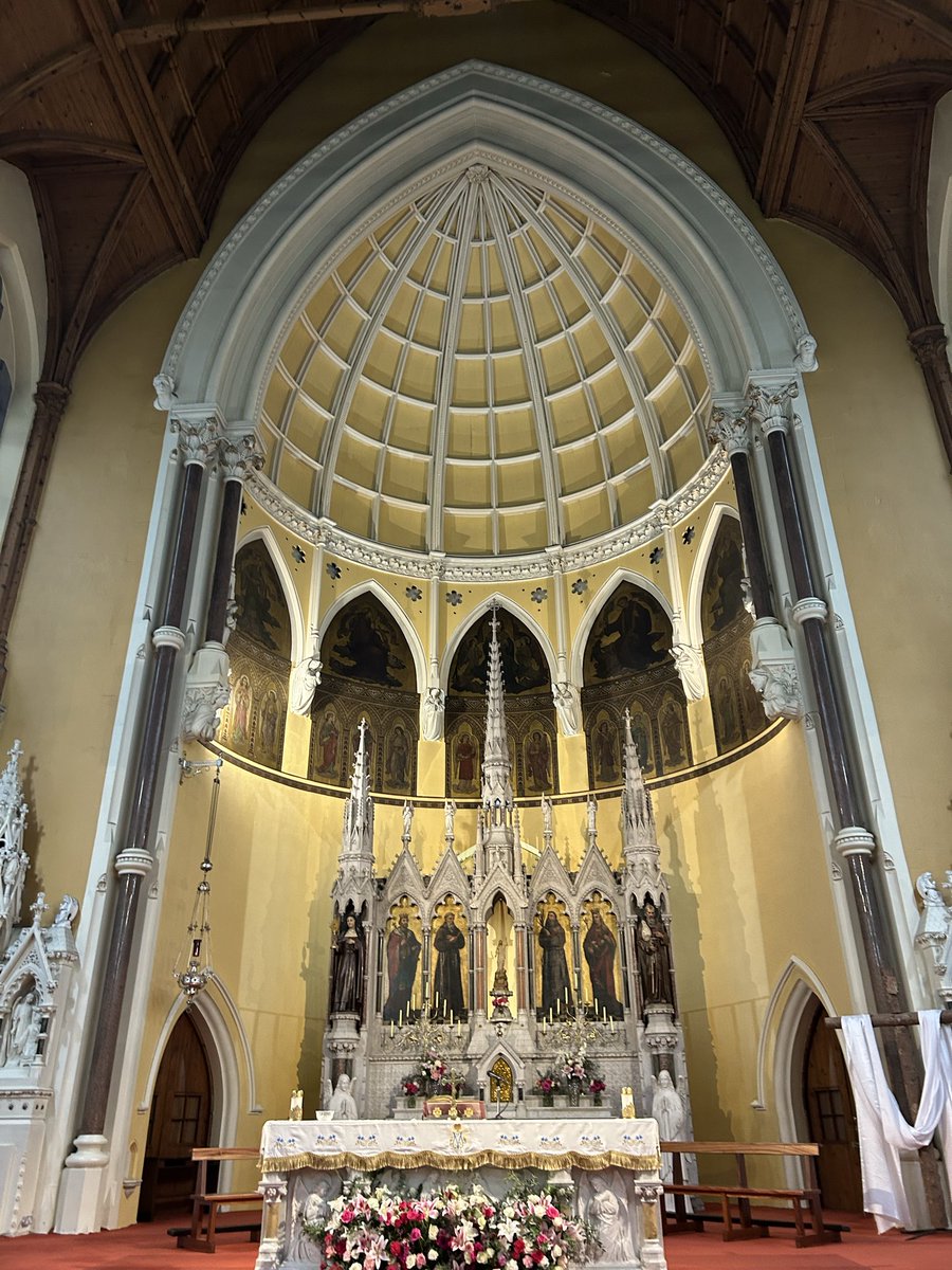 Nate Stein tweet media