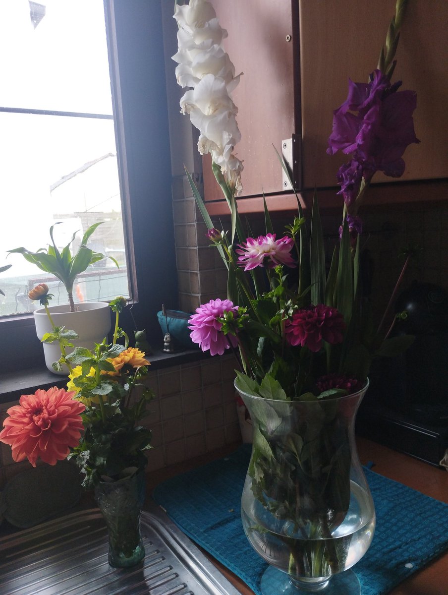 Pretty morning walk with my daughter &amp; dog today seeing beautiful colours of leaves &amp; flowers. 😀🍁🦮💐🎃 #fall #leaves #colours #pumpkins #flowersfield #bouquet #SundayMorning