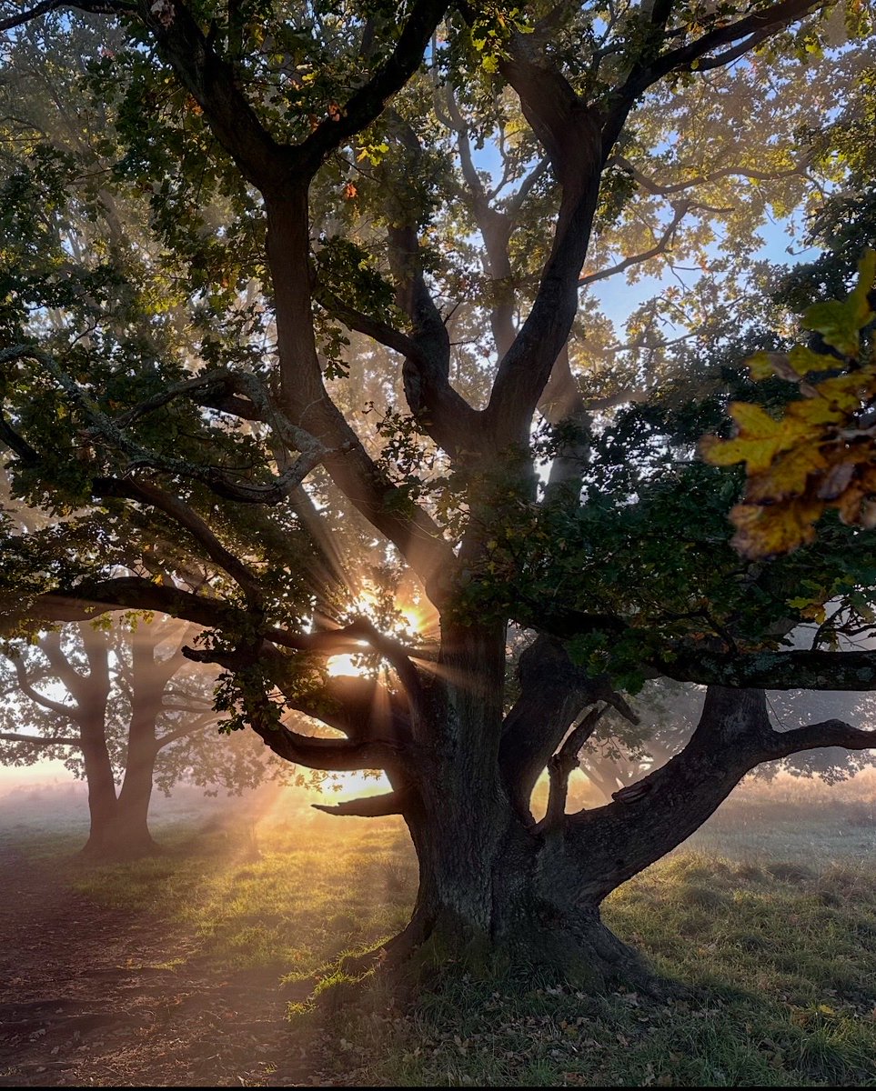 Tyne Valley October mornings.