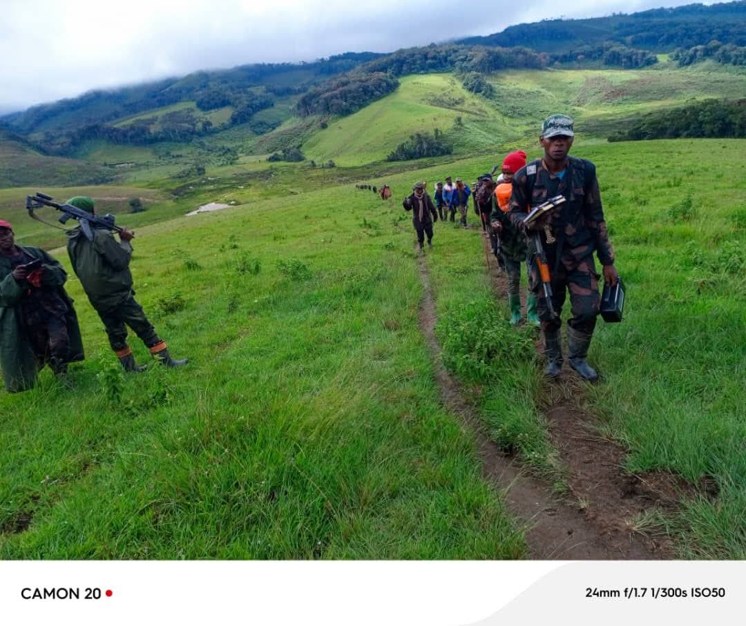 #Les #Wazalendo appuyés par les Forces Armées de la RD Congo  reprennent plusieurs villages au #M23 dans le #SudkivuGouv. Depuis environ quatre heures, des détonations d’armes lourdes sont entendues dans les environs de Civanga, près de Kafurumaye, au sein du Parc national de
