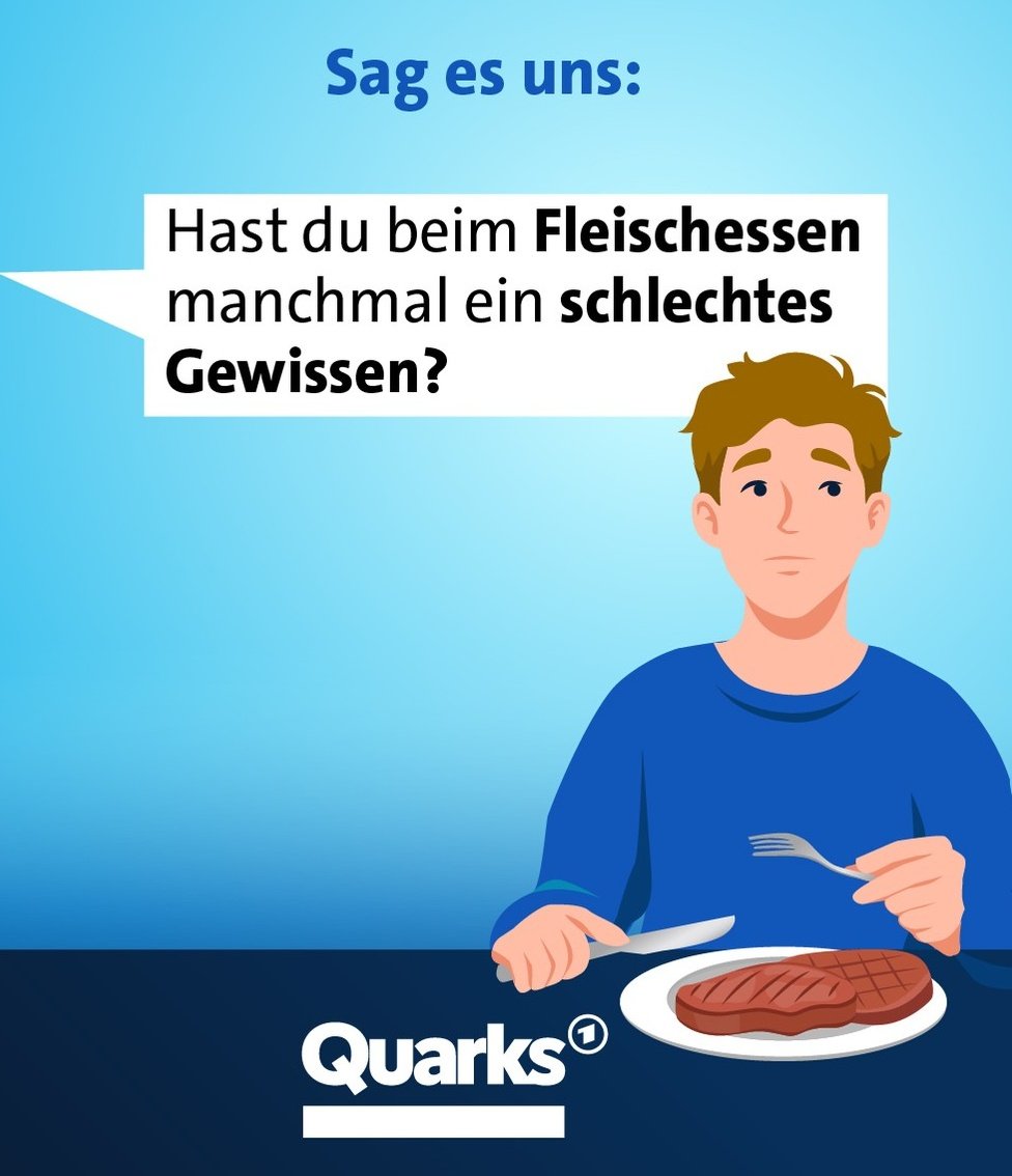 Thomas Huber 🗽 tweet media