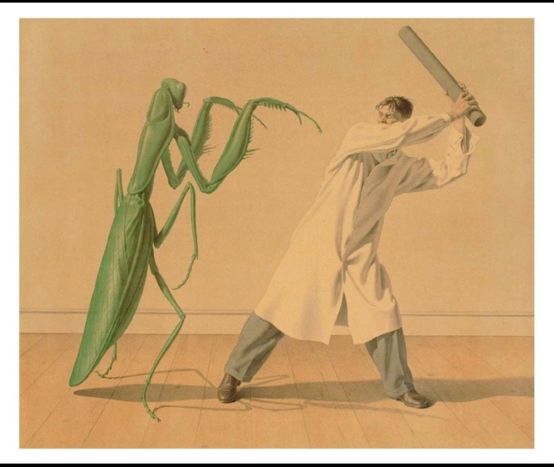 RebK (@troddentrail) on Twitter photo 