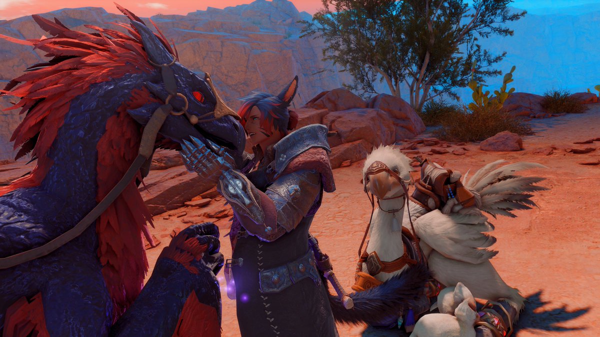 How many birb companions do I want? Yes