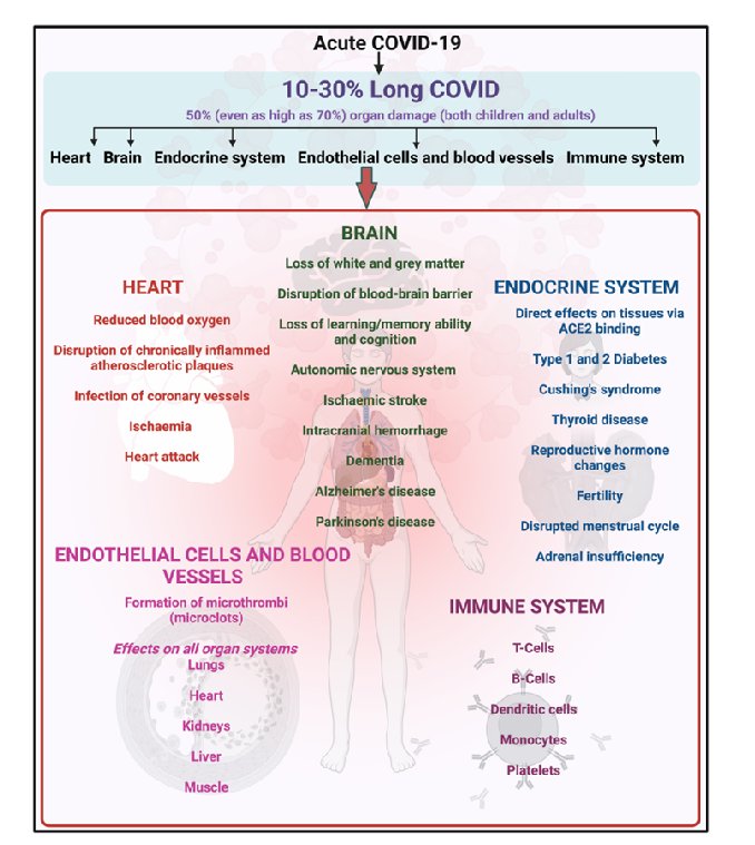 EvonneTCurran's tweet image. I missed this when it came out.

Review of organ damage from covid and long covid
pmc.ncbi.nlm.nih.gov/articles/PMC11…