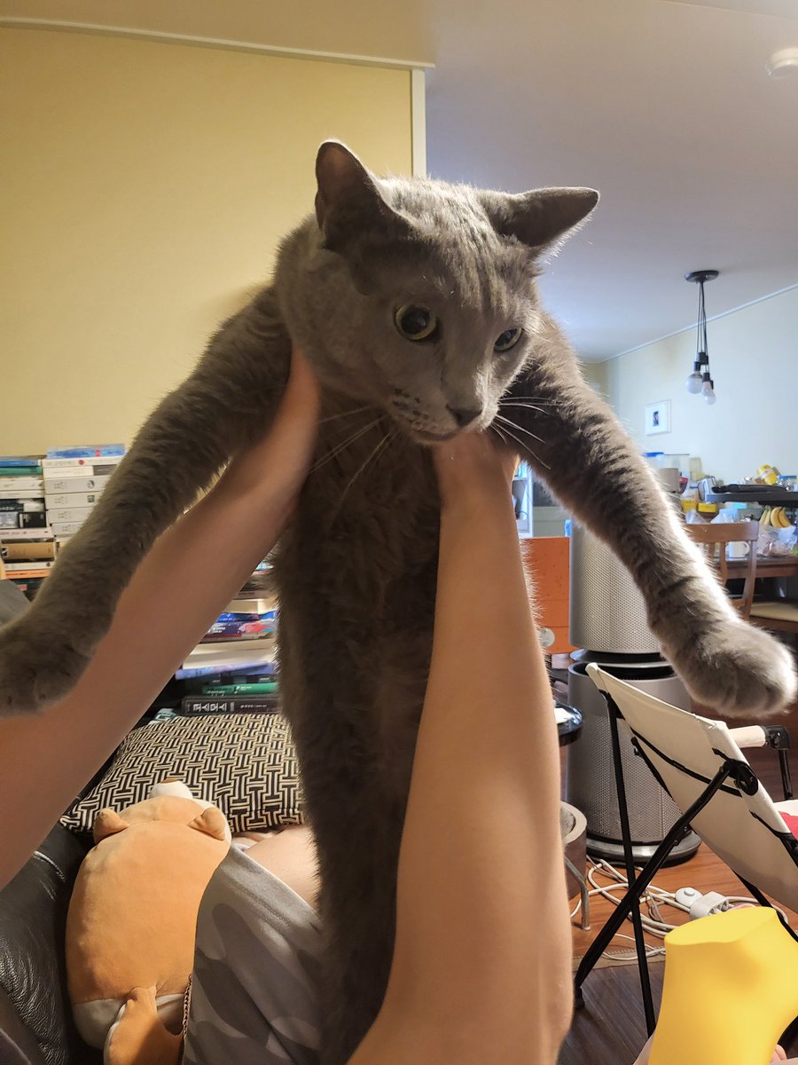 푸하핰ㅋㅋ ㅋ ㅋㅋㅋㅋㅋㅋㅋㅋ