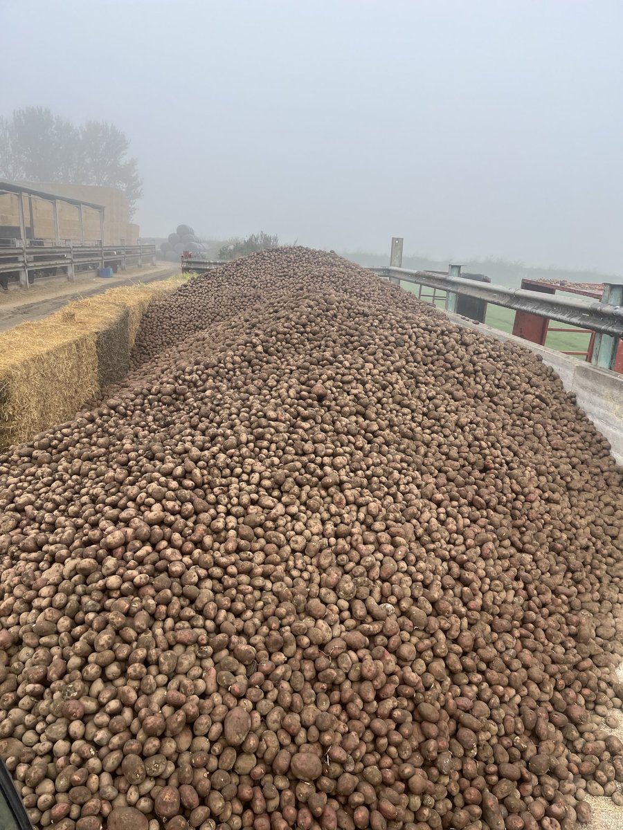 Mark Crapper tweet media