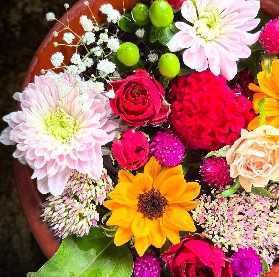 こんばんは🌱🍃❁⃘*. 𓂃✩.*˚

お疲れ様です✨

不安定なお天気
雨が降ったり止んだり
肌寒かったです🐈‍⬛🐾

台風23号の影響🌀
大雨など気を付けて☔️🫧

優しい繋がりに感謝します
いいね、リプ、リポスト
ありがとうございます💖

体調管理に気を付けて
ゆっくりお過ごし下さい♪

穏やかな夜を⭐️ *.