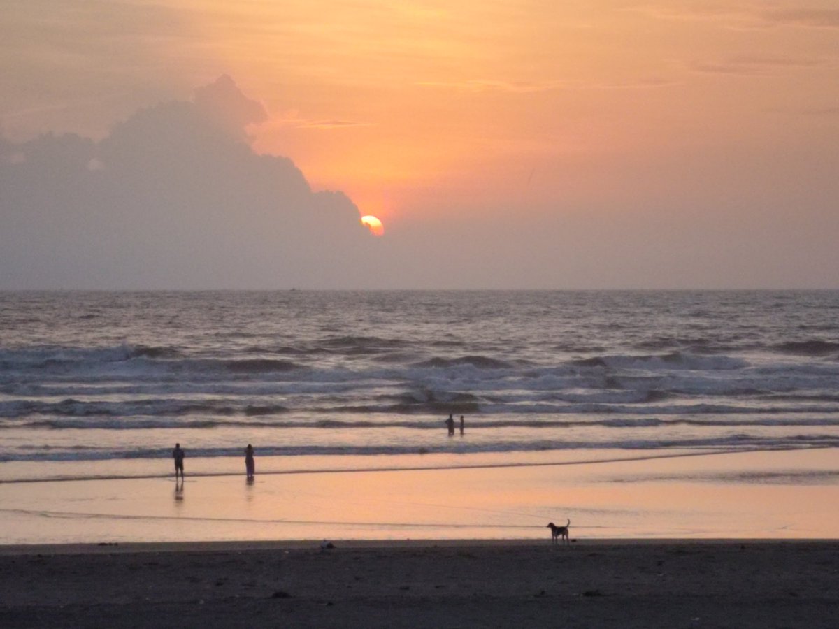 Richa Mishra (@ginsoakedgal) on Twitter photo 