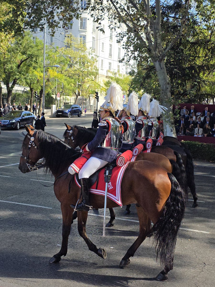 LiborSecka's tweet image. Feliz Día Nacional de #Espana! Desfile tradicional de Fuerzas Armadas en #Madrid. Felicidades a todos los españoles, un pueblo de amigos! 🇪🇸🤝🇨🇿 
@CzechEmbMadrid