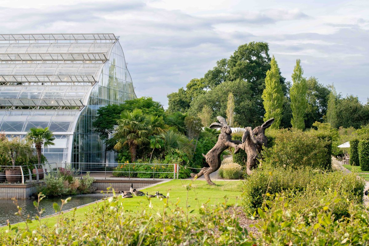 On today's Sunday Colour Supplement, Ian Currie reviews September's weather and looks ahead to October,  Katie Child spends a relaxing day at Wisley Gardens and we'll hear all about Restart a Heart Week.  Join Nigel Gray from 2pm.  radioredhill.uk/scs/ #SundayColourSupplement