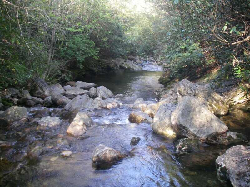troutphisher's tweet image. In every river, I see a lesson of humility and patience.

Good morning, friends.....☕️🍵