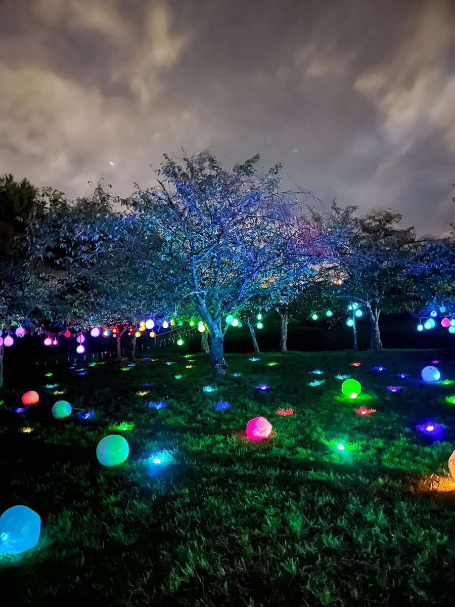 京都下鴨茶論🦆 tweet media