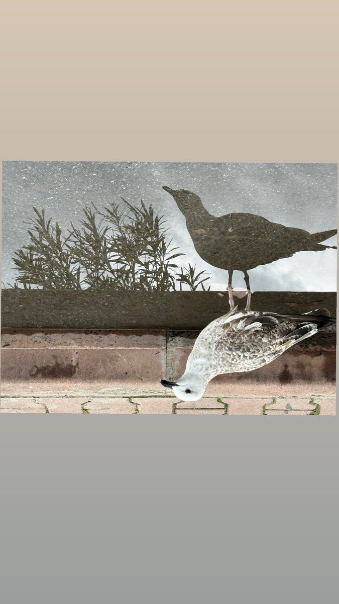 Ters/yüz  #adagünleri