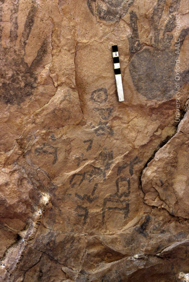 #New on #OCIANA - a remarkable #Dhofari 1a text containing 3 generations of a family devoted to the deity 𝐑𝐚̄𝐦 'high, exalted'. The verb of devotion is 𝒌𝒘𝒓 (cf. Mehri kīwer) 'to love'. 

Find more: ociana.osu.edu/inscriptions/4…